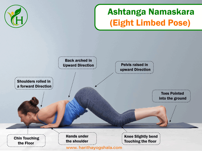  Infographics of Ashtanga Namaskara (Eight Limbed Pose)